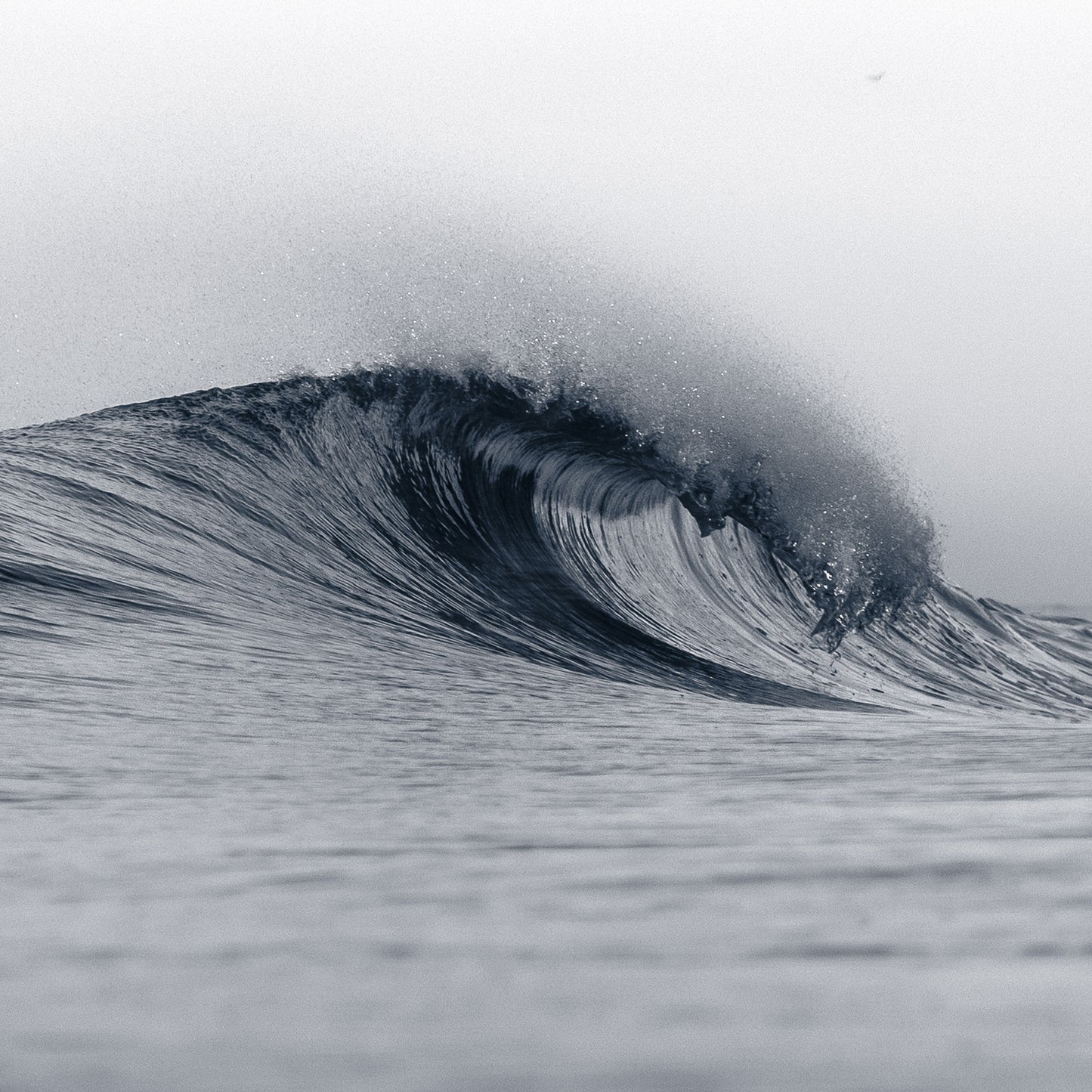 'Solo' van Michal Pelka